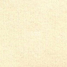 Ковролин Radici Admiral Snow 2225 фото 1 | FLOORDEALER